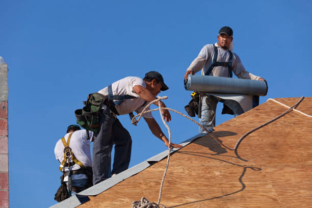Roof Gutter Cleaning in Sweet Home, AR